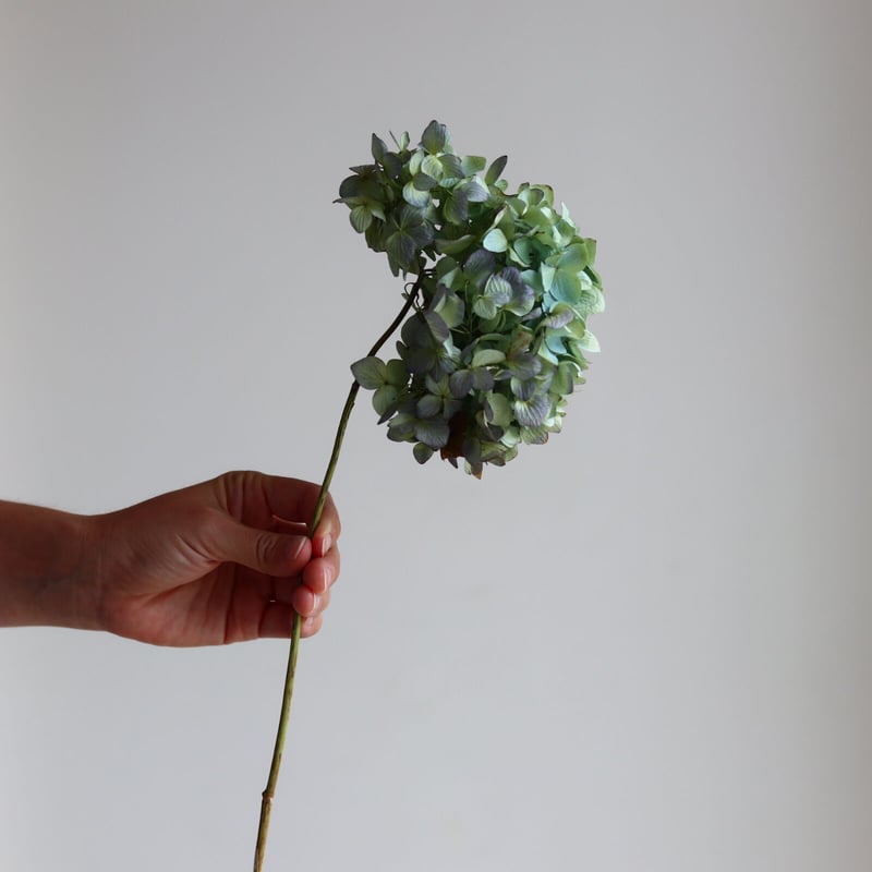 秋色紫陽花のドライフラワー 4本セット | karai fleuriste WEB SHOP