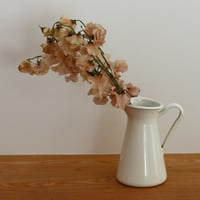 スイートピー　“ココアポイップ”