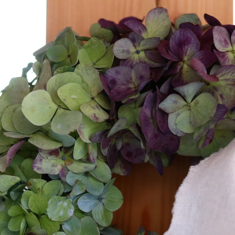 秋色紫陽花オーバルリース 薔薇＆紫陽花 ナチュラルオーバルリース 橤 romantic elegance