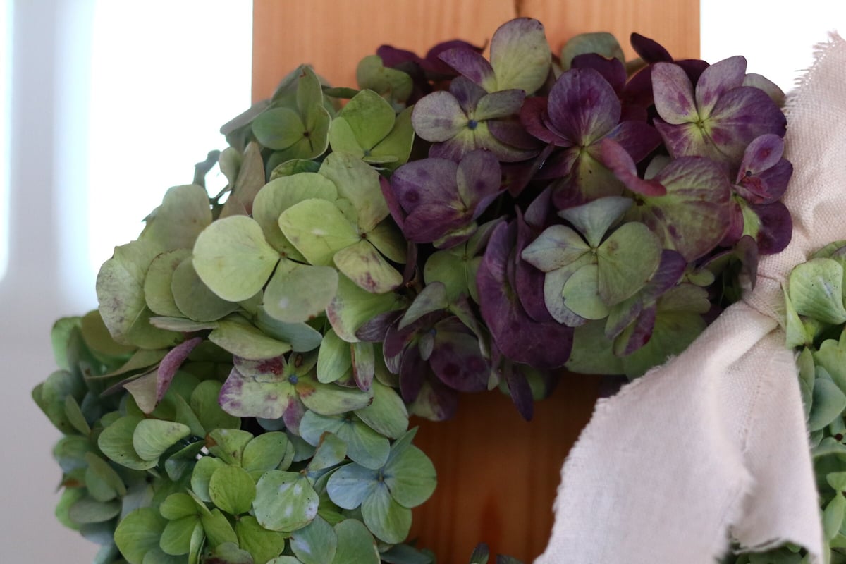 ももさく＆秋色紫陽花と白系ブルー系紫系小花リース＆スワッグセット 秋色紫陽花 