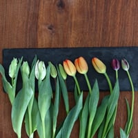 チューリップの花束