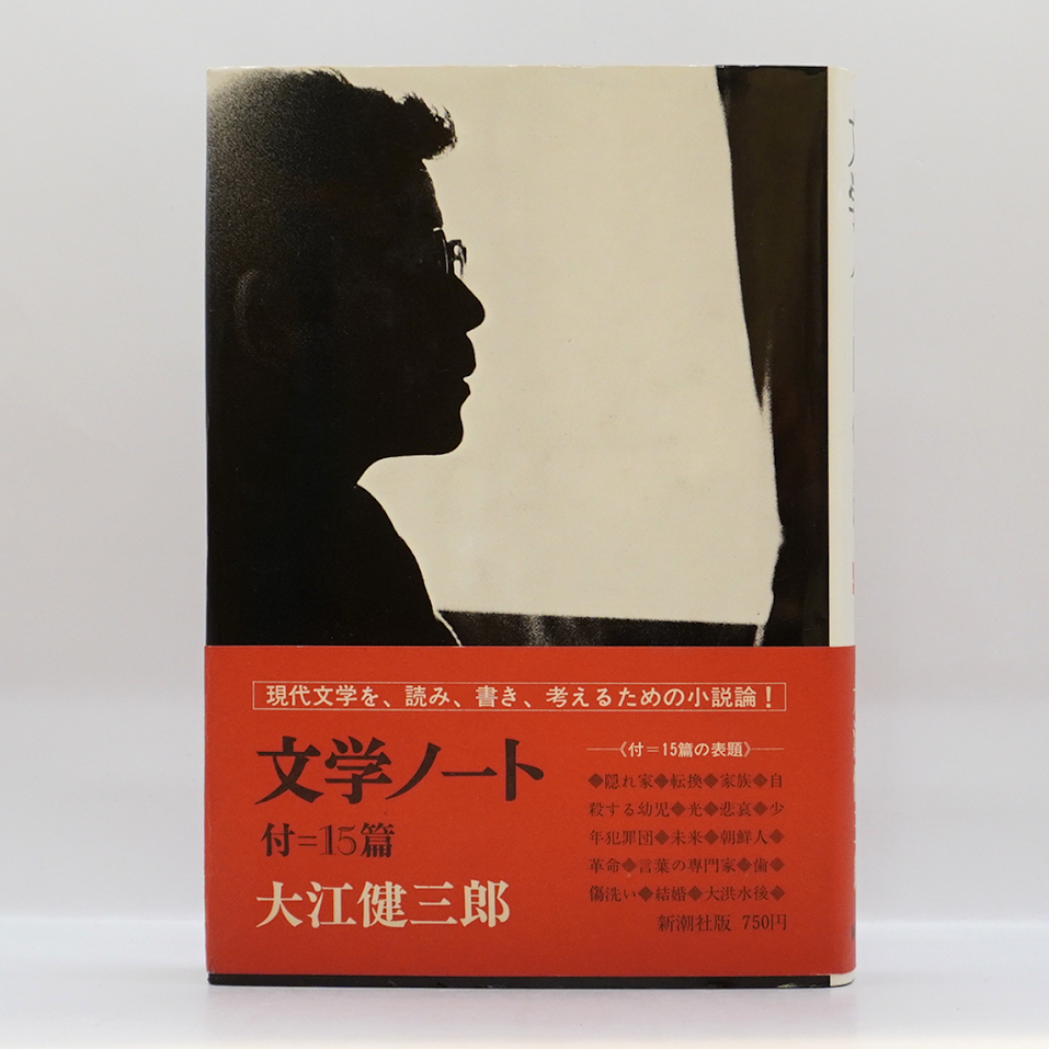 大江健三郎全小説15巻　＋　解説書3冊 大江健三郎全小説15巻 ＋ 解説書3冊 Amazon.co.jp: 大江健三郎
