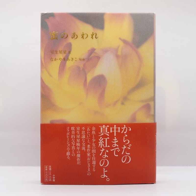 室生犀星『密のあわれ』（小学館） | 若松英輔こだわりの古書店 