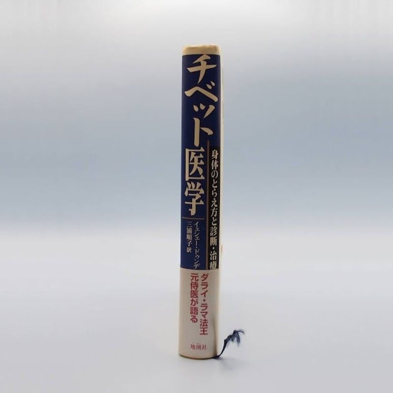 イエシェー・ドゥンデン『チベット医学』（三浦順子訳・地湧社