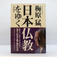 大乗仏典　12冊 大乗仏典12 如来蔵系経典』（高崎直道訳、中央公論社