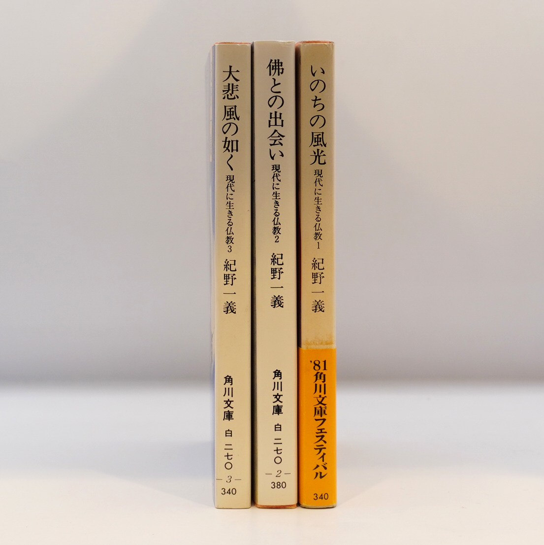 紀野一義3冊セット 『いのちの風光』『佛との出会い』『大悲 風の如く