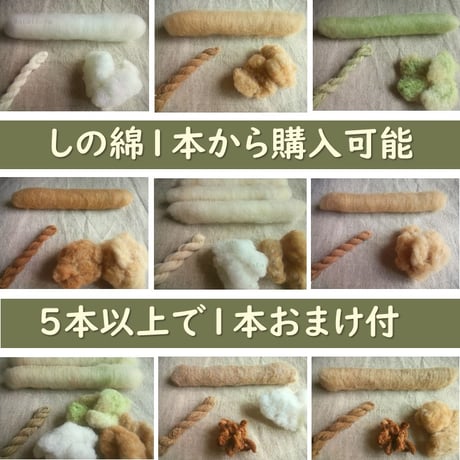 CATEGORY 綿 | わたいとや