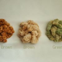 【実綿・繊維】色綿赤茶・茶・緑　2022年産　約10g　無染色・自家自然栽培綿