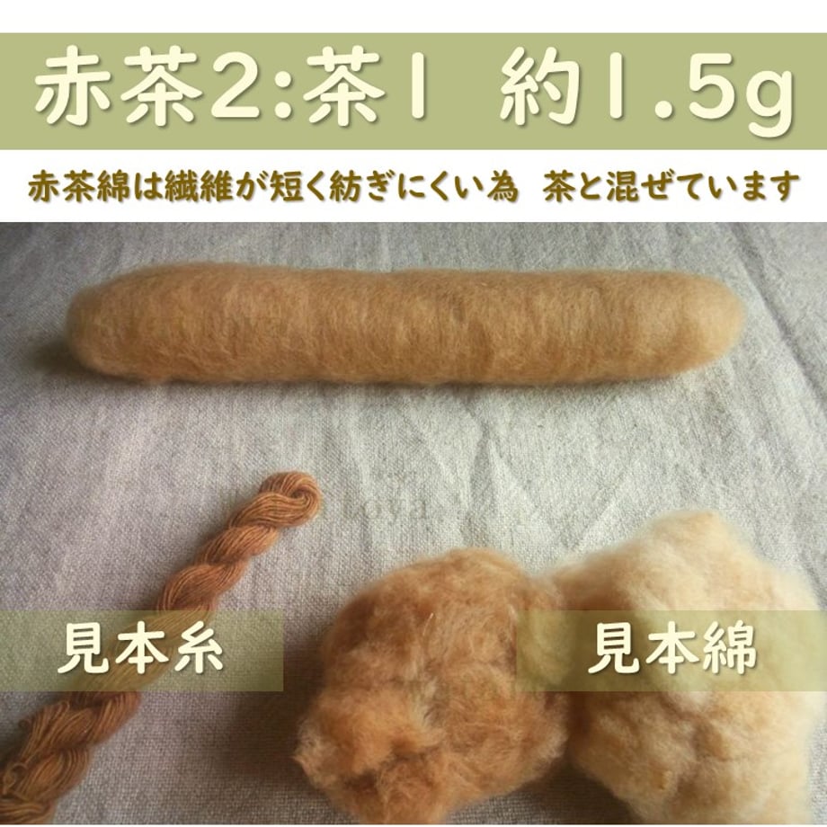 5d9b25d3ff78bd71b219e770
