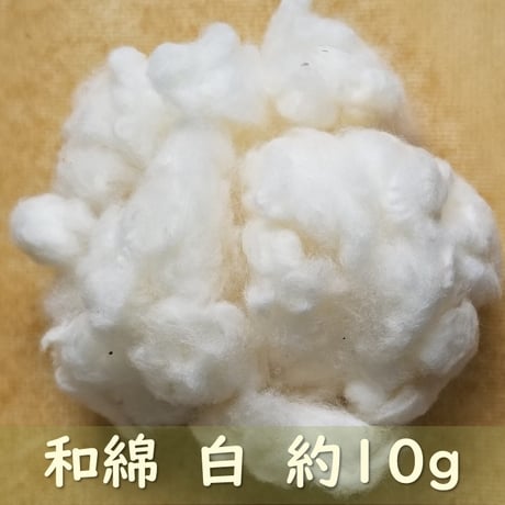 【綿繊維】各種 約10g 無染色・自家自然栽培綿 | わたいとや