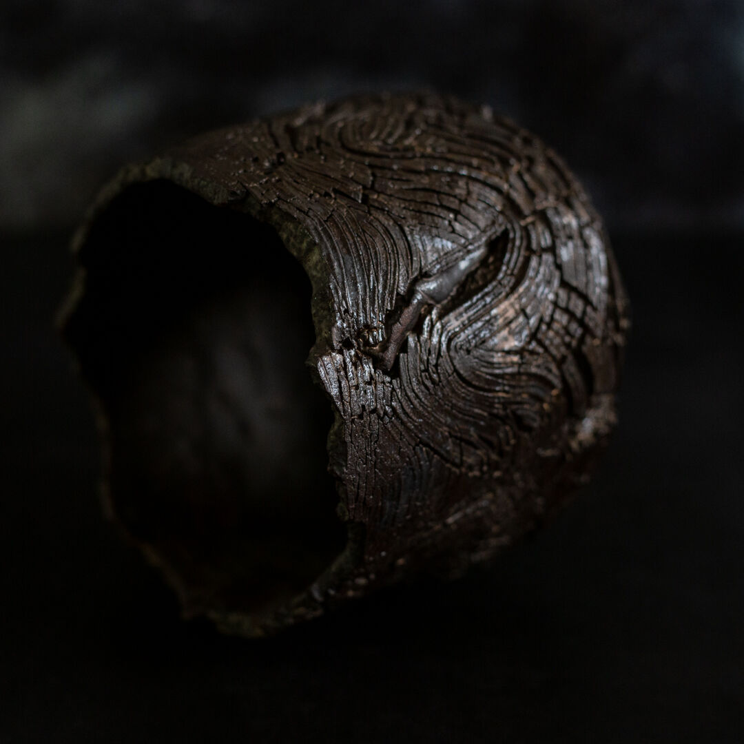 笠　中国亀型微墨 笠 中国亀型微墨 笠 中国亀型微墨 笠中国亀型微墨