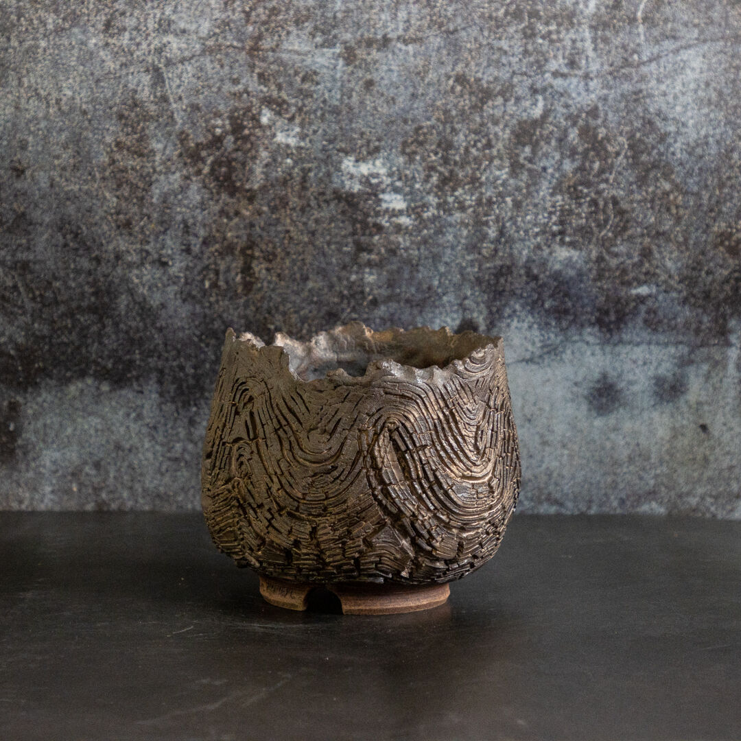 希少 南京絵鉢 南京鉢 岩松 イワヒバ 岩ヒバ 植木鉢 サボテン アガベ