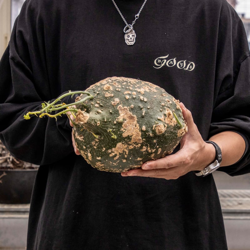 アデニア グロボーサ 現地球 現地球】アデニア グロボーサ 2665_1【期間限定】 | ISALO
