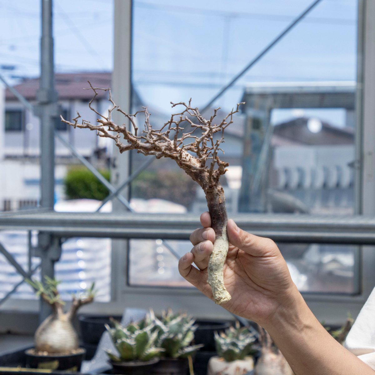 fit=scale-down,w=1200