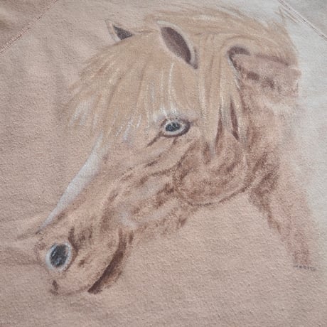 80s "Hanes" fade horse print sweatshirt