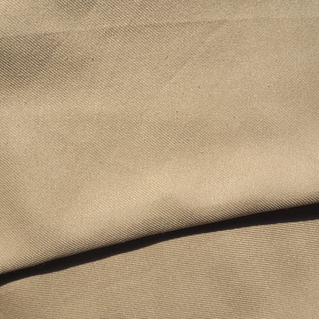 "alfred dunner" beige easy pants