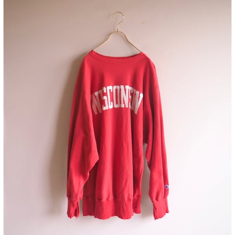 90s champion reverse weave damage college sweat