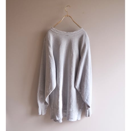90s champion reverse weave damage college sweat