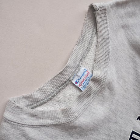 90s champion reverse weave damage college sweat