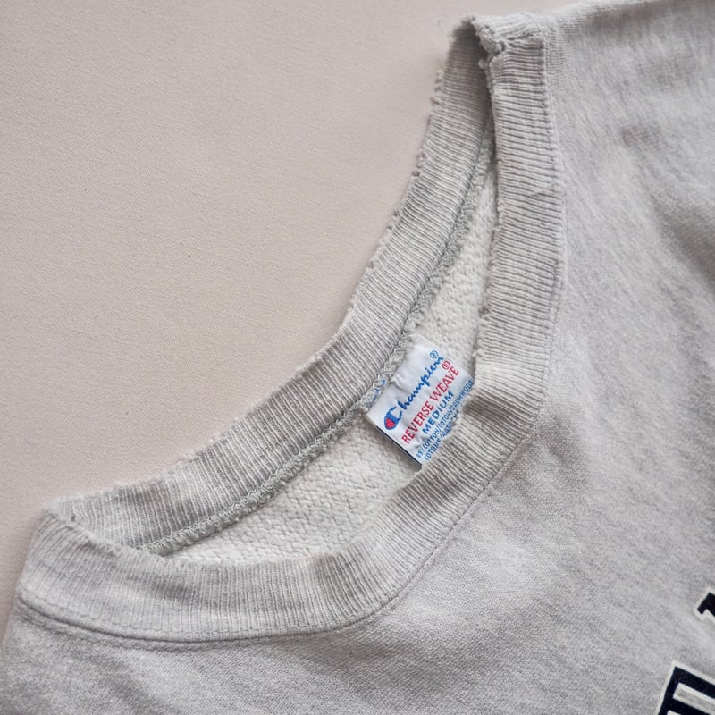 90s champion reverse weave damage college sweat