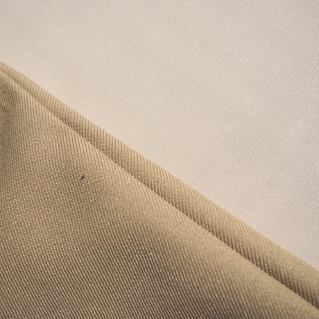 "alfred dunner" beige easy pants