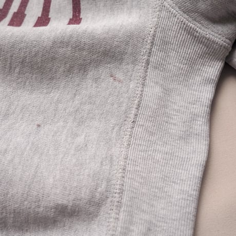 90s champion reverse weave damage college sweat