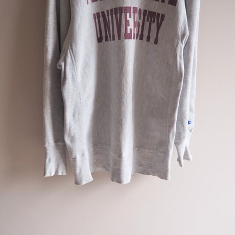 90s champion reverse weave damage college sweat