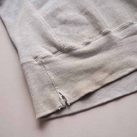 90s champion reverse weave damage college sweat