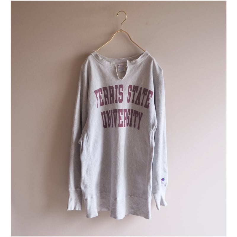 90s champion reverse weave damage college sweat