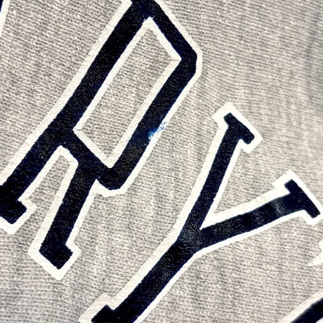 90s champion reverse weave damage college sweat