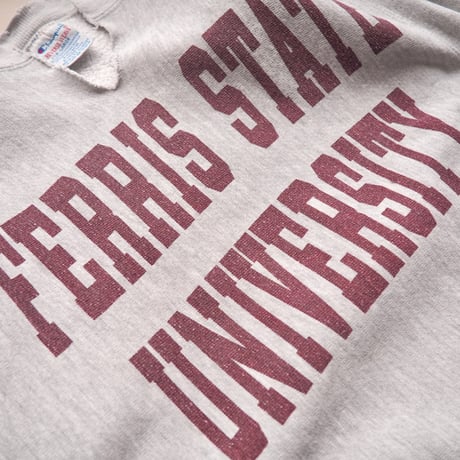90s champion reverse weave damage college sweat