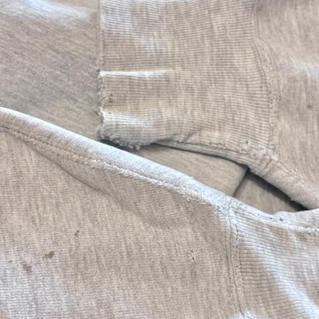 90s champion reverse weave damage college sweat