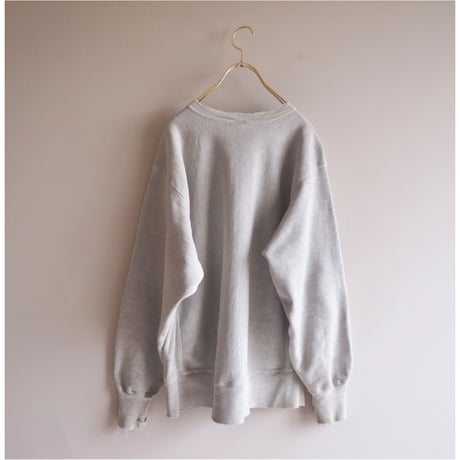 90s champion reverse weave damage college sweat