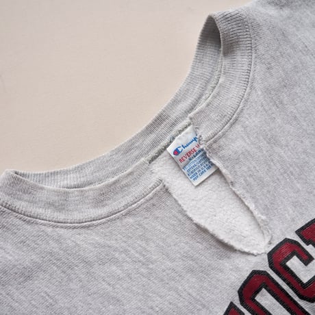 90s champion reverse weave college print sweat