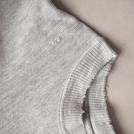 90s champion reverse weave damage college sweat