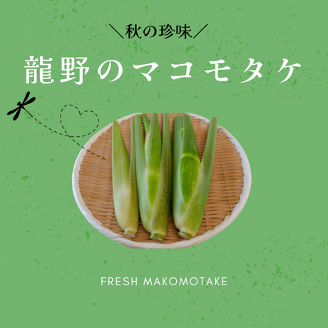 マコモダケ | STORES