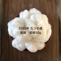2023年産　和綿（実綿）50ｇ