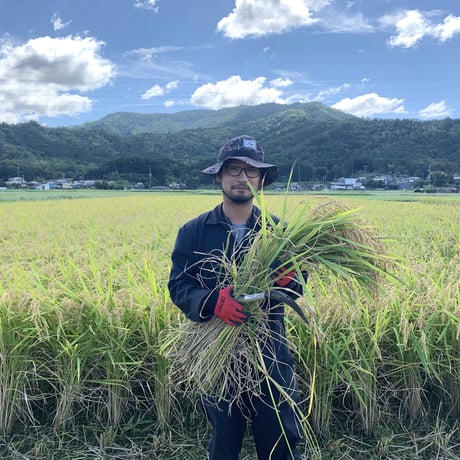 有機栽培コシヒカリ５kg（玄米）