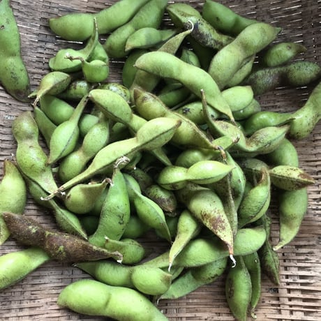 黒枝豆1kg