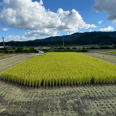 にこまる　白米1kg