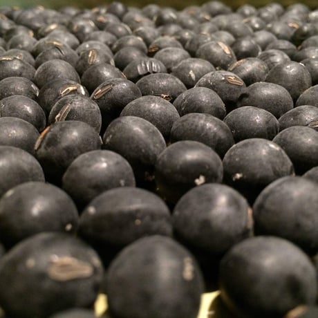 R6年産　丹波黒大豆 300g