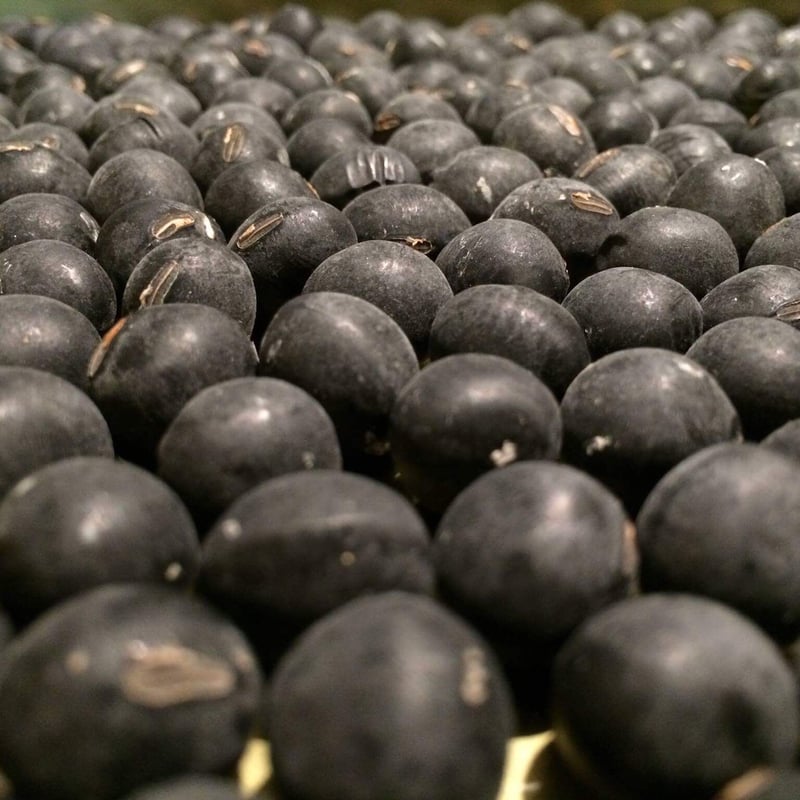 R6年産 丹波黒大豆 300g | ひょうたん農場
