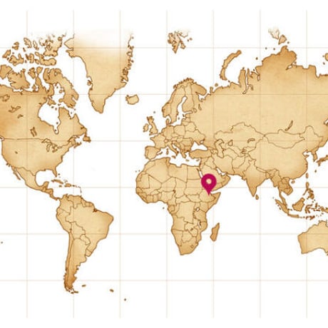 エチオピア　モカハラーボールド（200g）