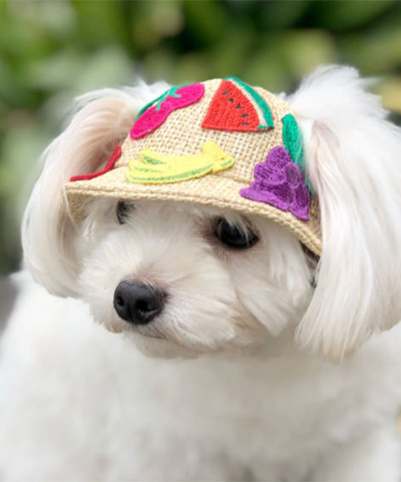 GE-256 麦わらﾄﾛﾋﾟｶﾙﾊｯﾄ | GARDEN OF EDEN