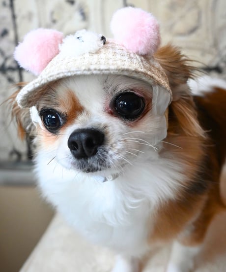 格安 内田鋼一 レア 肉厚 抹茶碗 プラチナ彩 共箱有 18万