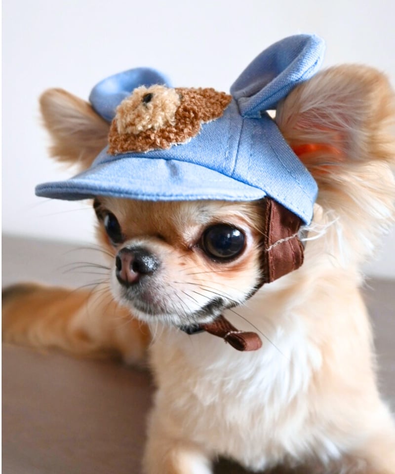 GE-332 くまさんCAP | GARDEN OF EDEN