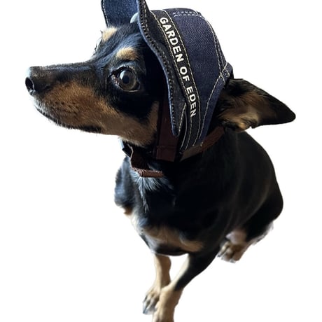 GE-286 ﾊﾟｯﾁﾜｰｸDenimﾊｯﾄ