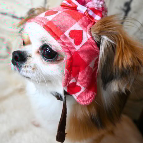 トイプードル あみぐるみ ハート❤️ ウマの帽子 トイプードル あみぐるみ ハート❤️ ウマの帽子 犬耳帽子 編み方