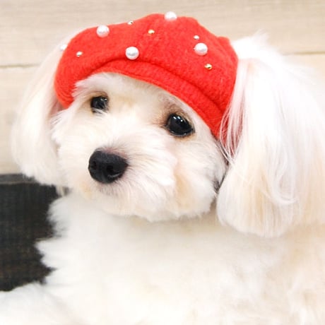 STORES ベレー帽の検索結果