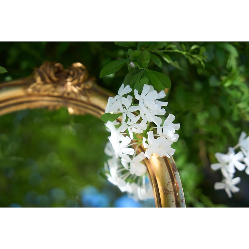 フランスアンティーク鏡 オーバル型 鏡 花柄 薔薇 アンティーク フランスアンティーク鏡 オーバル型 鏡 花柄 薔薇 アンティーク
